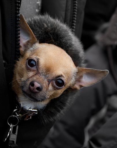 It's Warmer Here, by Lance G