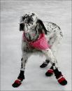 These Boots Make Me Look Silly, by B. D..

Entered in the Make Me Laugh section.

Received FIRST PLACE for this section!
