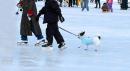 See I Can Skate, by Janet B.

Entered in the Pets at the Carnival section.