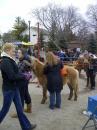 Ponies, always popular!