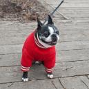 Pets At The Carnival
<br>
Warm and Toasty, By Rhonda S