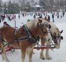Beautiful horses waiting to give a wagon ride on the ice.