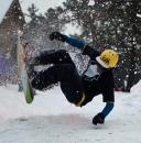 Snowboarding, by Rhonda S.

Entered in the Carnival Highlights section.