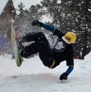 Snowboarding, by Rhonda S.

Entered in the Carnival Highlights section.