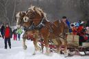Sleigh Ride, by Judi M.

Entered in the Carnival Highlights section.

Received FIRST PLACE for this section!