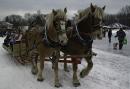 Sleigh Ride, by Vanessa O.

Entered in the Carnival Highlights section.